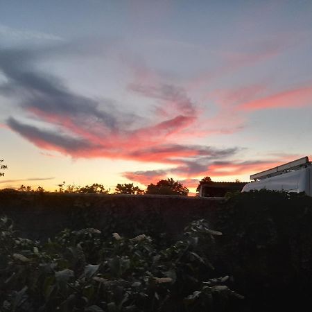 Appartamento La Terrasse Poitiers Esterno foto