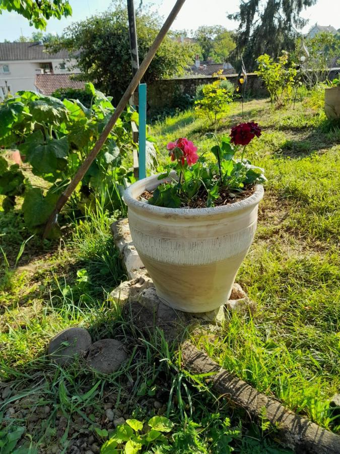 Appartamento La Terrasse Poitiers Esterno foto